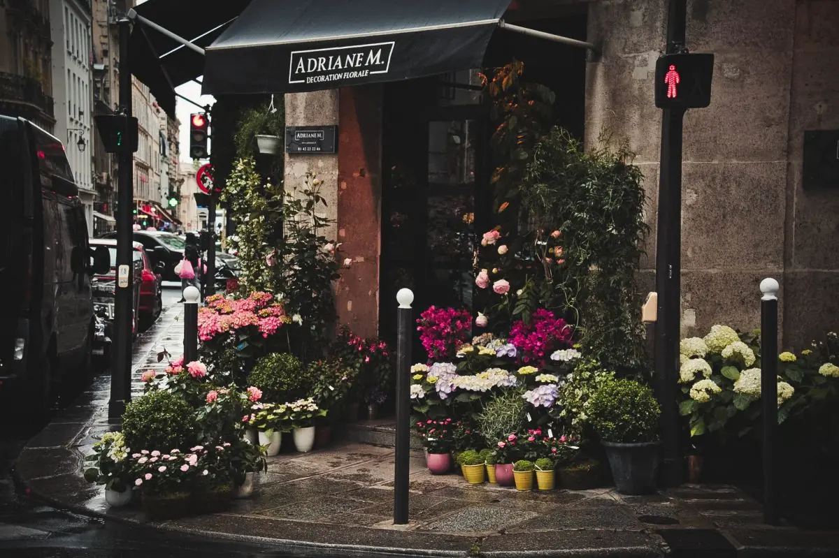 Blumengeschäft mit bepflanzten Kübeln und Sträußen vor dem Eingang an einer Straße.
