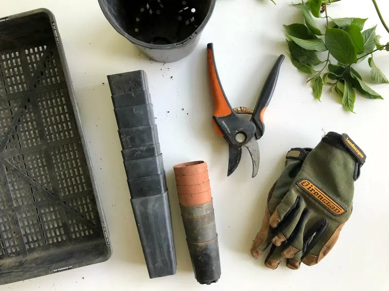 Gartenschere, Handschuhe, Pflanzgefäße und Erde ordentlich auf einer hellen Arbeitsfläche ausgelegt.