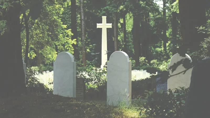 Grabsteine und ein steinernes Kreuz auf einem von Bäumen umstandenen Friedhof im Morgenlicht.