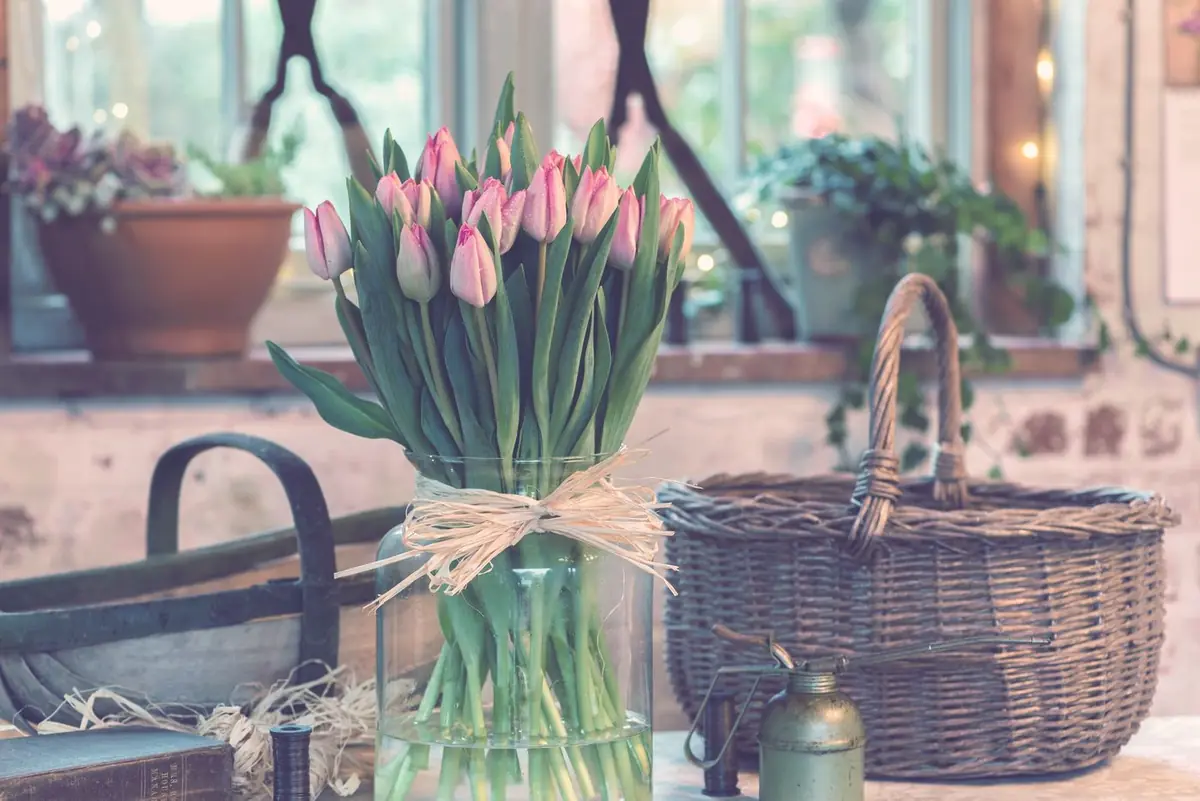 Strauß rosa Tulpen in Glasvase mit Bastschleife, arrangiert von Blumen Strunck aus Köln in gemütlicher Werkstatt-Atmosphäre.